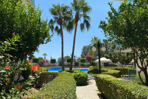 1+1 Wohnung  in Kestel, Antalya, Türkei Nr. 227406 - 22