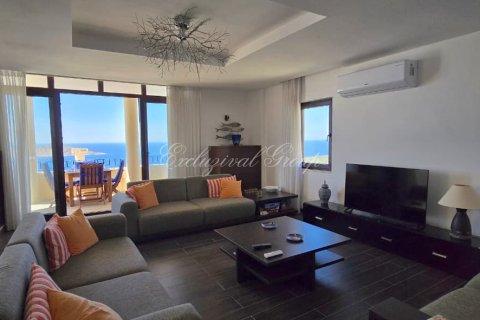 3+1 Lägenhet i Bodrum, Mugla, Turkiet Nr. 227401 - 23
