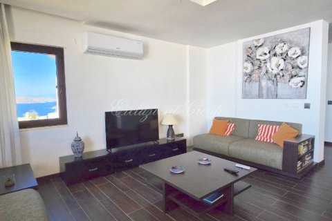 3+1 Lägenhet i Bodrum, Mugla, Turkiet Nr. 227401 - 4