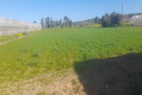 Land plot for sale in Dipkarpaz, Iskele, Northern Cyprus, 7900m2, No. 214564 – photo 2