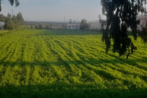 Land plot for sale in Dipkarpaz, Iskele, Northern Cyprus, 7900m2, No. 214564 – photo 3