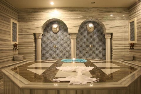 Lejlighed  i Kargicak, Alanya, Antalya, Tyrkiet Nr. 213040 - 30