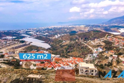 Wohnung in Alanya, Antalya, Türkei Nr. 213044 - 4