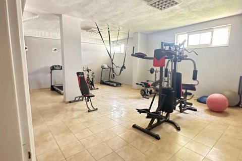 2+1 Lägenhet i Alanya, Antalya, Turkiet Nr. 221340 - 8