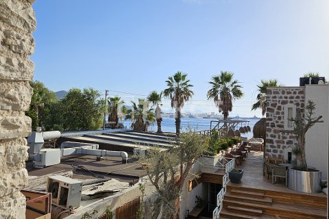 هتل در Bodrum ، ترکیه 1077 متر مربع. شماره 212132 - 19