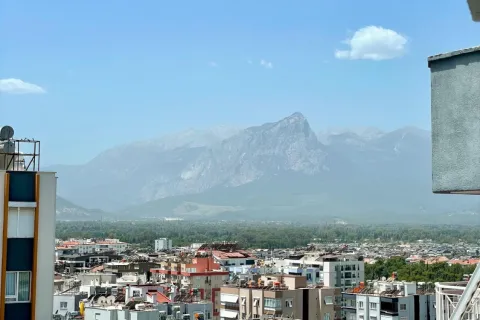 3+1 Leilighet i Mugla, Tyrkia Nr. 224108 - 22