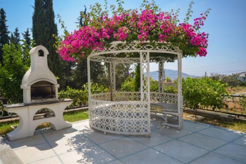 Erhvervsejendom i Alanya, Antalya, Tyrkiet Nr. 94988 - 17