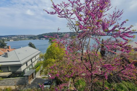4+1 Apartment  in Besiktas, Istanbul, Turkey No. 225262