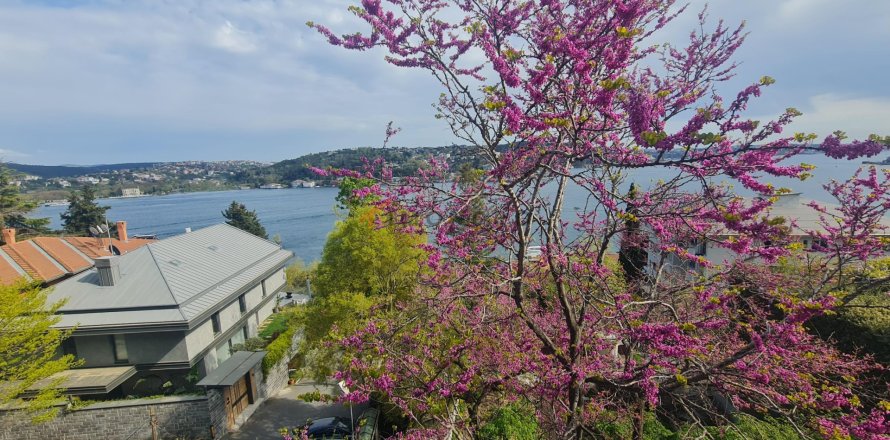 آپارتمان در Besiktas، Istanbul ، ترکیه 4 خوابه ، 215 متر مربع. شماره 225262