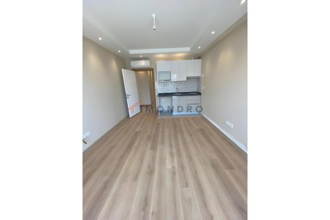4+1 Leilighet i Avcılar, Istanbul, Tyrkia Nr. 225258 - 18