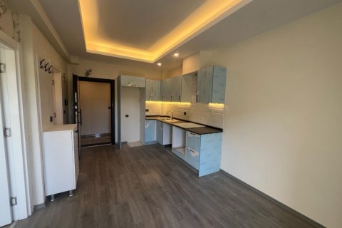 آپارتمان در Alanya ، ترکیه 48 متر مربع. شماره 95068 - 22