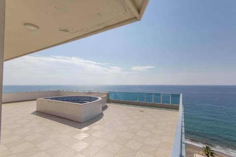 1+0 Lägenhet  i Mahmutlar, Antalya, Turkiet Nr. 225788 - 23