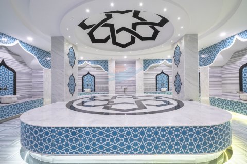 1+1 Wohnung  in Avsallar, Antalya, Türkei Nr. 228486 - 27