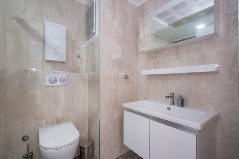 1+1 Wohnung  in Avsallar, Antalya, Türkei Nr. 228486 - 12
