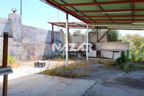 Lejlighed i Alanya, Antalya, Tyrkiet Nr. 226545 - 15