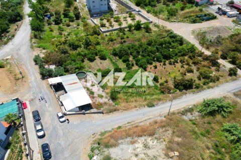 Lejlighed i Alanya, Antalya, Tyrkiet Nr. 226545 - 12