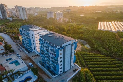 Продажа квартиры в Аланье, Анталье, Турция 2 комн., 50м2, №228212 – фото 5