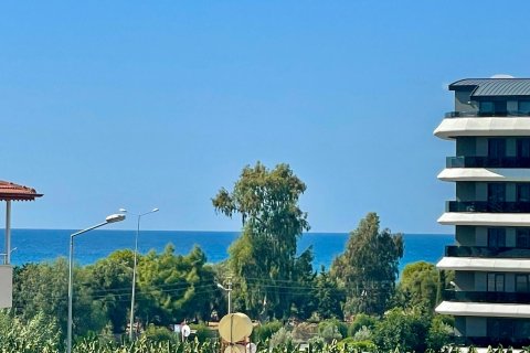 Продажа квартиры  в Аланье, Анталье, Турция 1+1, 50м2, №216590 – фото 13