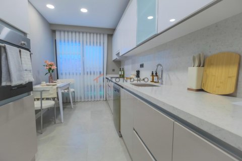 3+1 Wohnung in Gaziosmanpasa, Istanbul, Türkei Nr. 217053 - 28