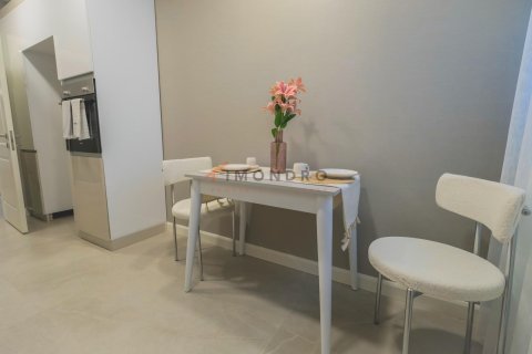 3+1 Wohnung in Gaziosmanpasa, Istanbul, Türkei Nr. 217053 - 29