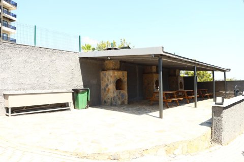 1+1 Lejlighed i Avsallar, Antalya, Tyrkiet Nr. 225753 - 23