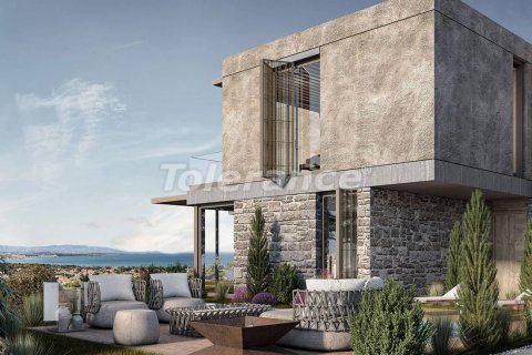 3+1 Villa  i Izmir, Tyrkiet Nr. 140056 - 10
