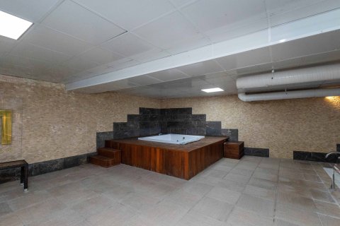 1+1 Wohnung  in Kestel, Antalya, Türkei Nr. 227407 - 19