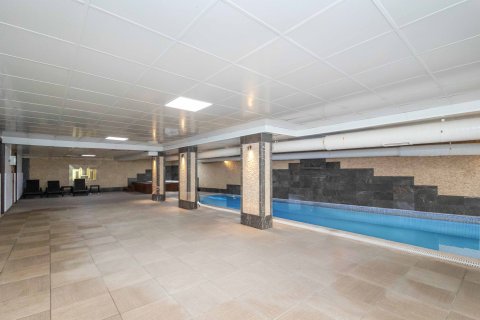 1+1 Wohnung  in Kestel, Antalya, Türkei Nr. 227407 - 18