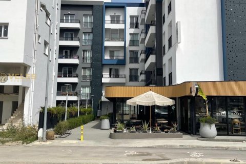 1+1 Leilighet i Long Beach, Iskele, Nr. 214382 - 14