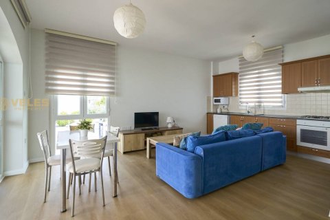 Apartment for rent in Gaziveren, Guzelyurt, Northern Cyprus, 2 bedrooms, 80m2, No. 225278 – photo 21