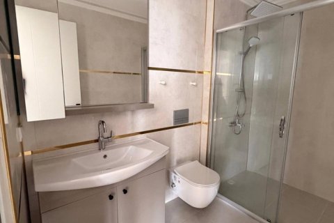 1+0 Lägenhet  i Mahmutlar, Antalya, Turkiet Nr. 225019 - 12