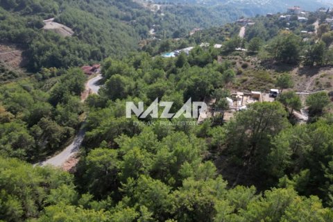 Apartment for sale in Alanya, Antalya, Turkey, 1028m2, No. 227380 – photo 7
