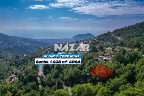 Apartment for sale in Alanya, Antalya, Turkey, 1028m2, No. 227380 – photo 2