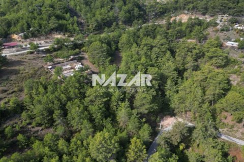Apartment for sale in Alanya, Antalya, Turkey, 1028m2, No. 227380 – photo 5