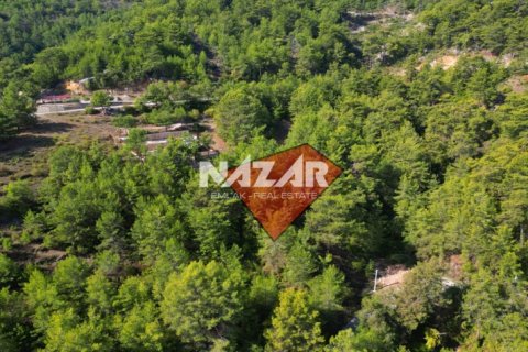 Apartment for sale in Alanya, Antalya, Turkey, 1028m2, No. 227380 – photo 4
