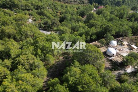 Apartment for sale in Alanya, Antalya, Turkey, 1028m2, No. 227380 – photo 8
