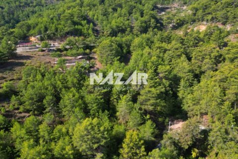 Apartment for sale in Alanya, Antalya, Turkey, 1028m2, No. 227380 – photo 10
