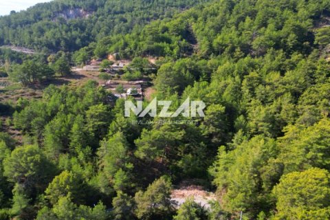 Apartment for sale in Alanya, Antalya, Turkey, 1028m2, No. 227380 – photo 11