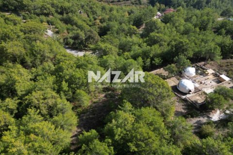 Apartment for sale in Alanya, Antalya, Turkey, 1028m2, No. 227380 – photo 9