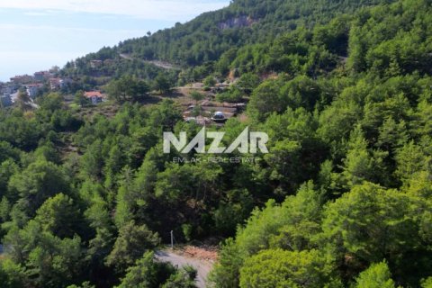 Apartment for sale in Alanya, Antalya, Turkey, 1028m2, No. 227380 – photo 12
