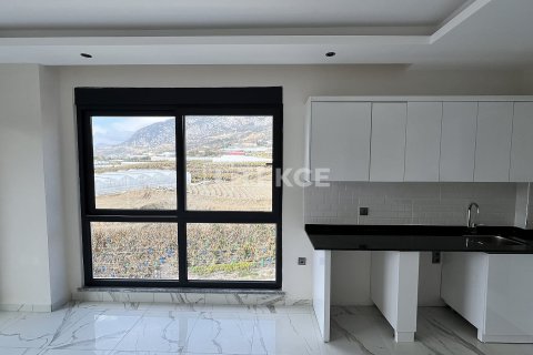 Dubleks daire  2+1  Alanya, Antalya, Türkiye №63756 - 14