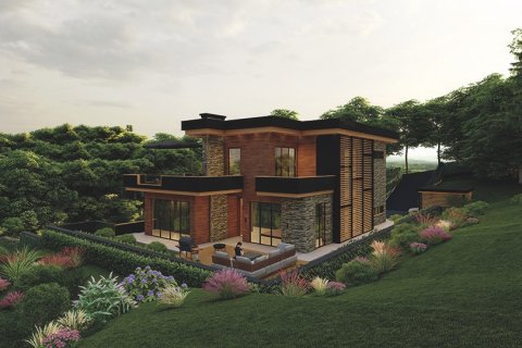 Villa  in Istanbul, Türkei Nr. 232268 - 6