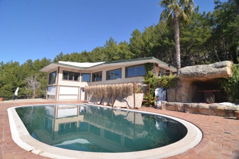 Gewerbeimmobilien  in Bektas, Alanya, Antalya, Türkei Nr. 213274