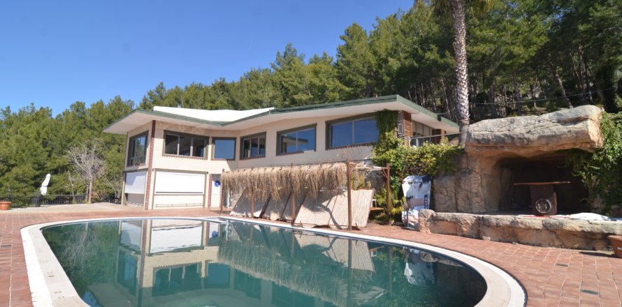 Ticari gayrimenkul Bektaş, Alanya, Antalya, Türkiye №213274
