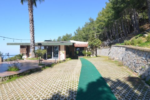 Ticari gayrimenkul Bektaş, Alanya, Antalya, Türkiye №213274 - 11