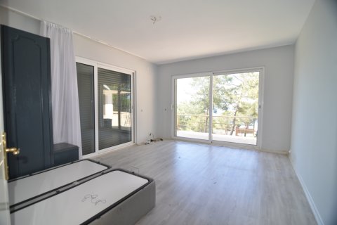 Ticari gayrimenkul Bektaş, Alanya, Antalya, Türkiye №213274 - 22