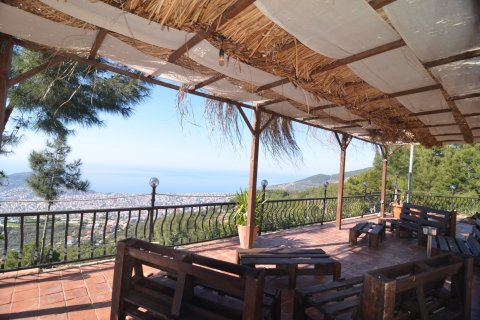 Ticari gayrimenkul Bektaş, Alanya, Antalya, Türkiye №213274 - 10