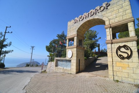 Ticari gayrimenkul Bektaş, Alanya, Antalya, Türkiye №213274 - 2
