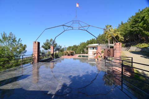 Ticari gayrimenkul Bektaş, Alanya, Antalya, Türkiye №213274 - 4