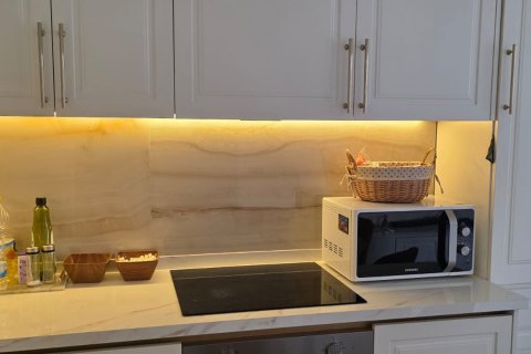 1+1 Lejlighed i Alanya, Antalya, Tyrkiet Nr. 216270 - 9